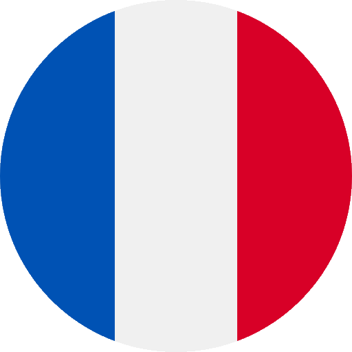 French (fr-FR)